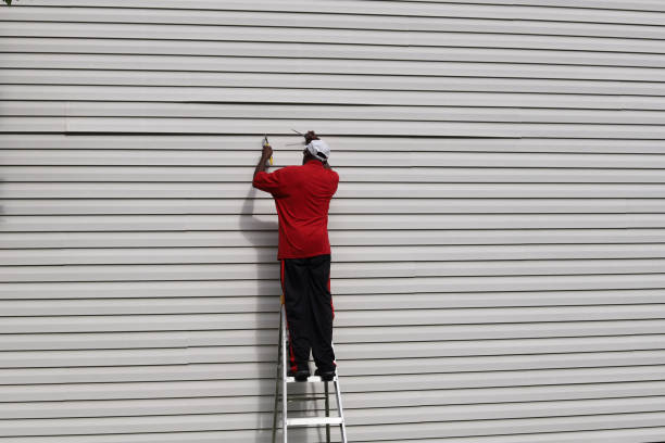 Best Steel Siding Installation  in Wentworth, NC