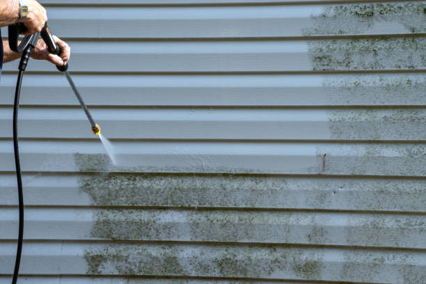 Best Historical Building Siding Restoration  in Wentworth, NC