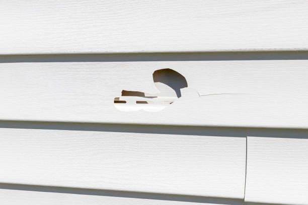 Best Stucco Siding  in Wentworth, NC