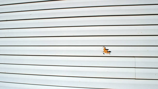  Wentworth, NC Siding Installation Pros