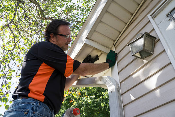 Best Storm Damage Siding Repair  in Wentworth, NC
